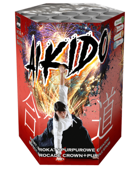 Aikido