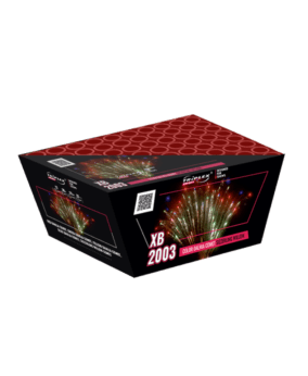 Color Dahlia Comet To Sizzling Willow